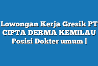 Lowongan Kerja Gresik PT CIPTA DERMA KEMILAU Posisi Dokter umum |