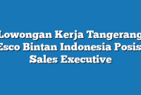 Lowongan Kerja Tangerang Esco Bintan Indonesia Posisi Sales Executive